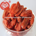 Baya de goji orgánica del barbarum del lycium de la baya de Ningxia Goji para la venta